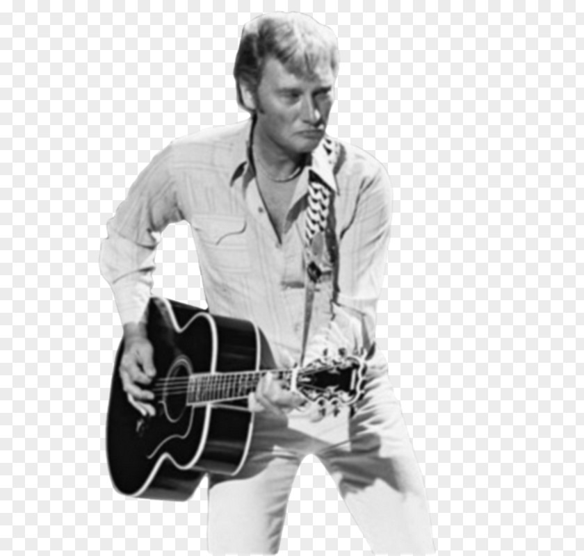 Guitar Johnny Hallyday Singer-songwriter Musician PNG