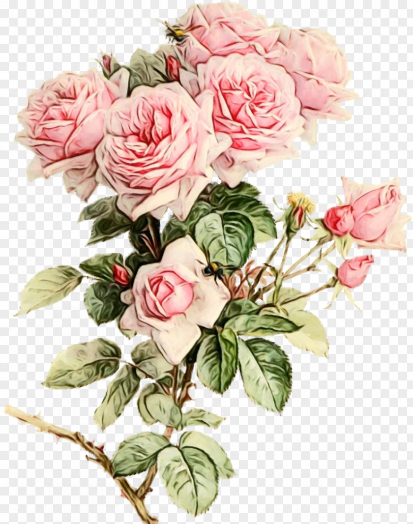 Watercolor Painting Garden Roses Drawing PNG