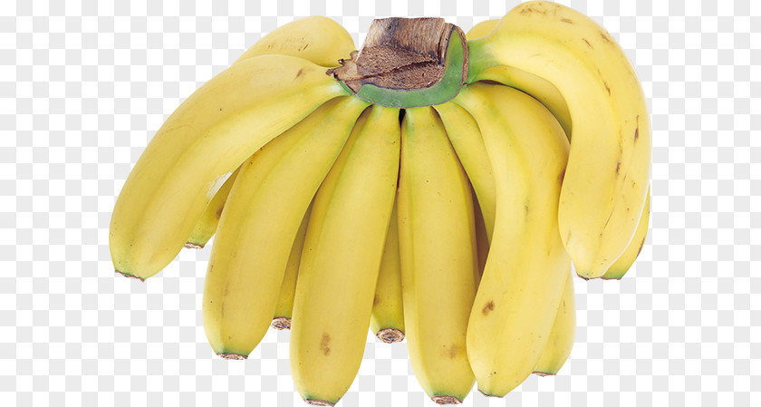 Banana Saba Food Fruit Cooking PNG