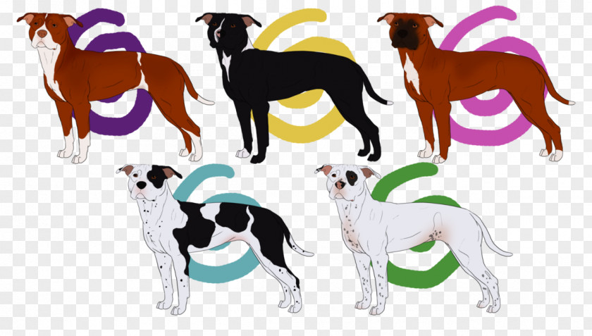 Bred Pit Italian Greyhound Dog Breed Whippet Clip Art PNG