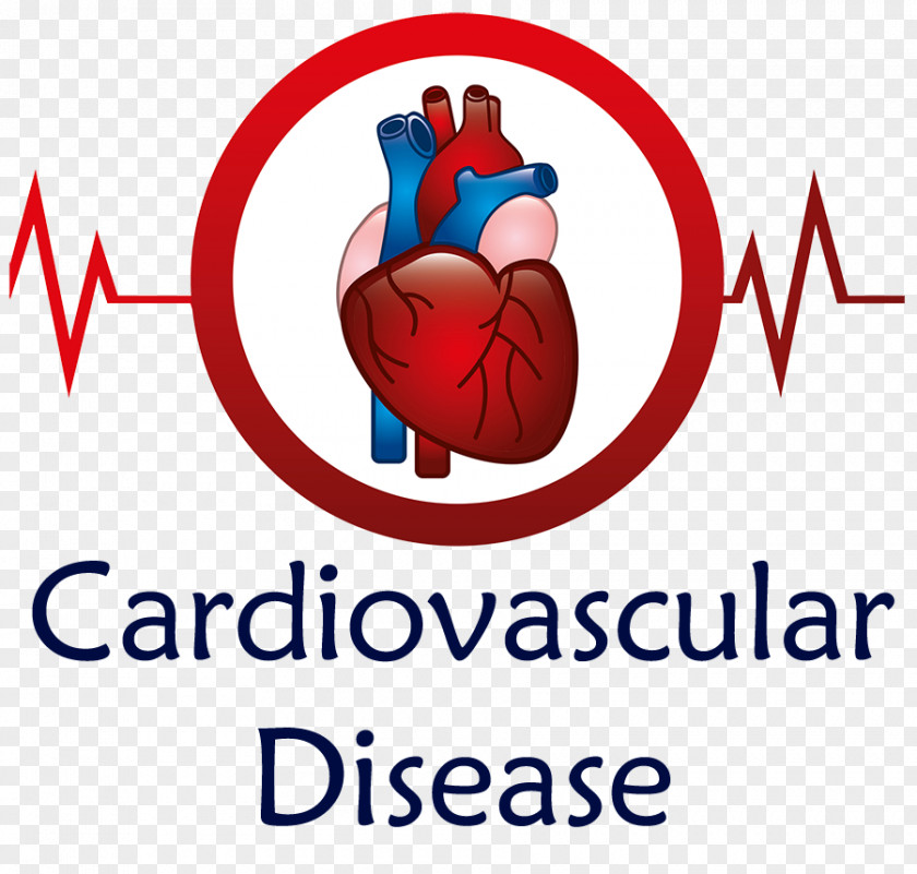 Care For Cardiovascular Disease Heart Cardiology Medicine Clip Art PNG