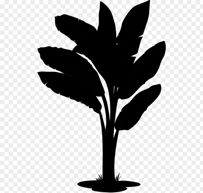 Clip Art Banana Leaf Image Vector Graphics PNG