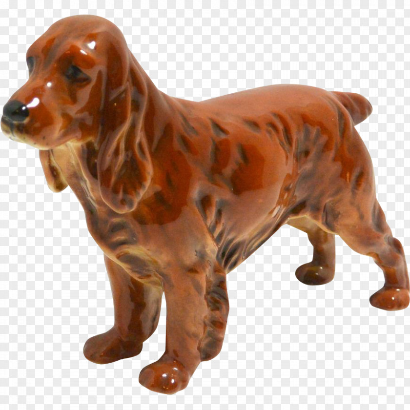 Irish Setter English Cocker Spaniel Field Boykin Sussex PNG