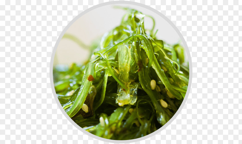 Seaweed Ramen Miso Soup Edible Wakame PNG