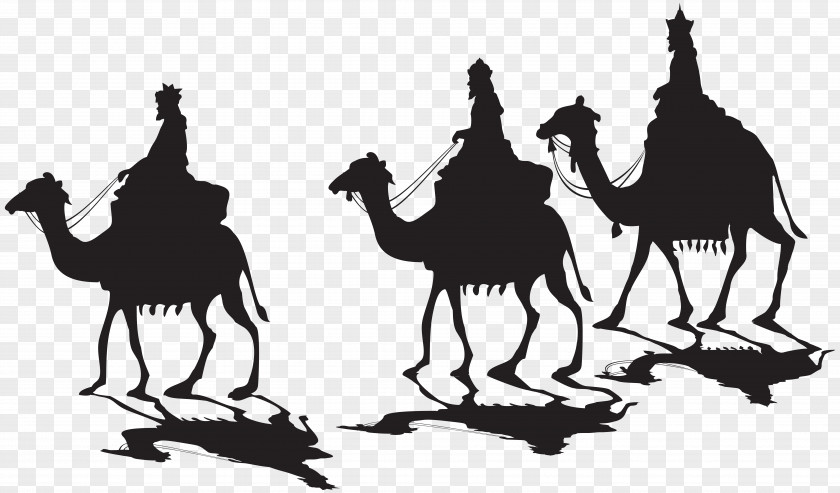 Silhouette Dromedary Clip Art PNG