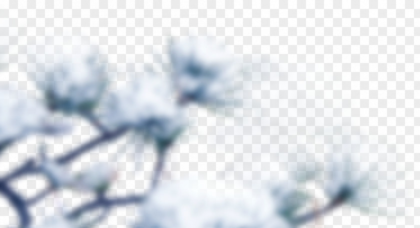 Snow Pressure Branch Winter Painting PNG