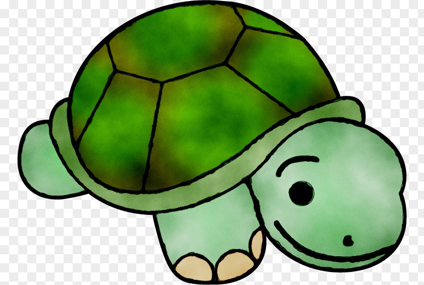 Clip Art Turtle Free Content Image PNG
