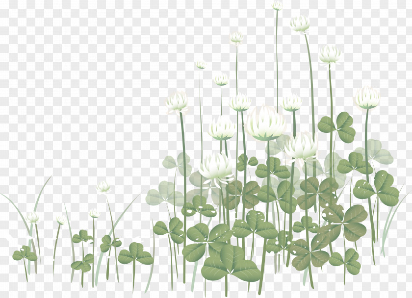 Clover Flower Clip Art PNG