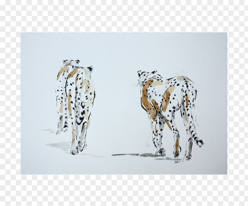 Giraffe Dalmatian Dog Art Drawing Wildlife PNG