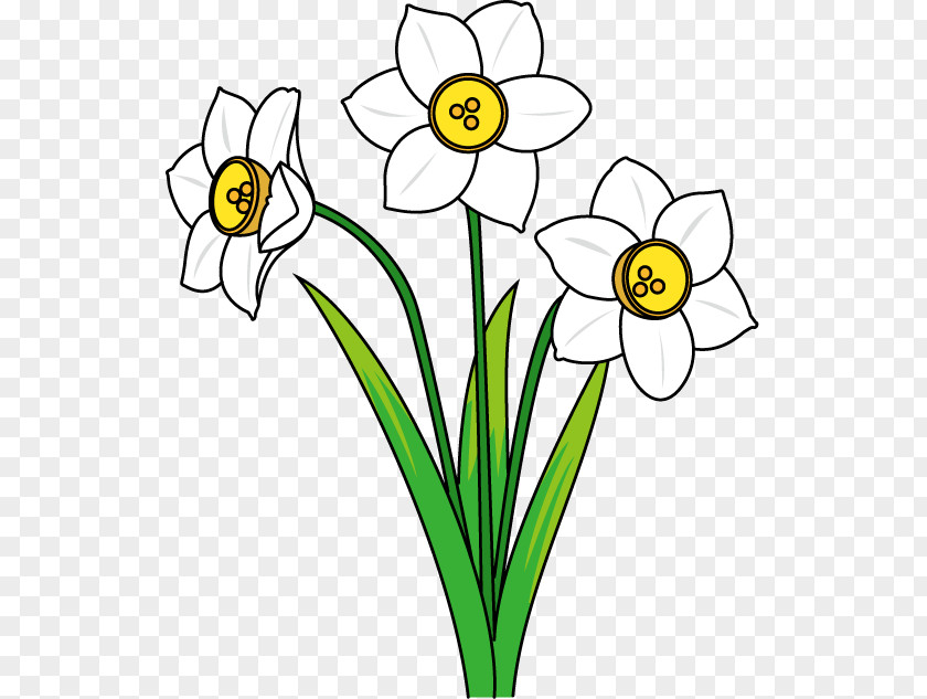 Doodle Flower Daffodil Clip Art PNG