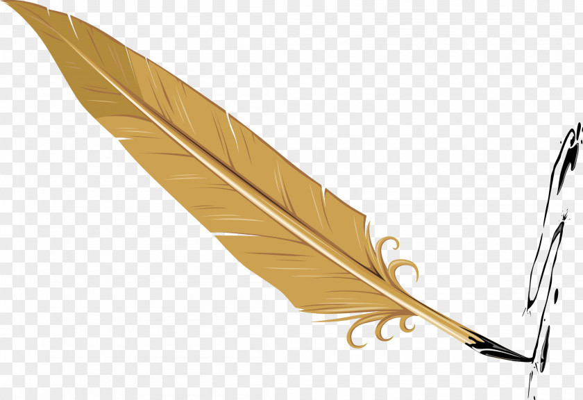 Feather Decorative Vector Design PNG