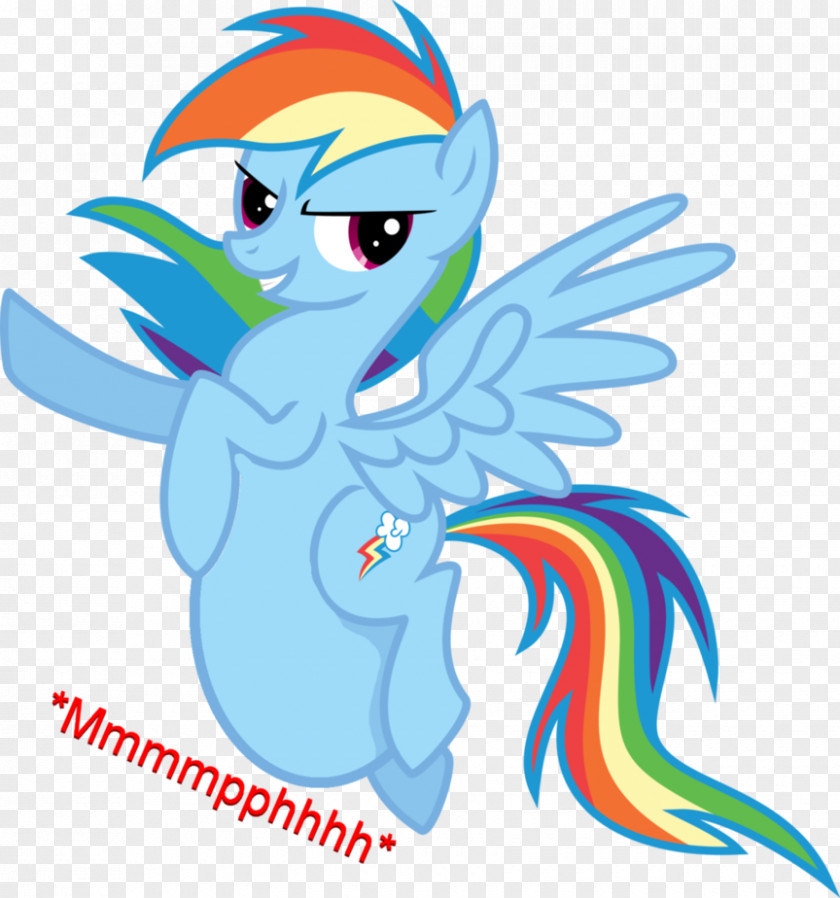 Rainbow Dash Pony Color PNG