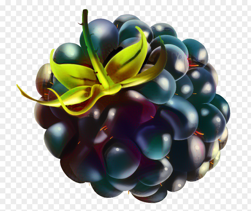 Raspberry Berries Blackberry Mulberry Fruit PNG