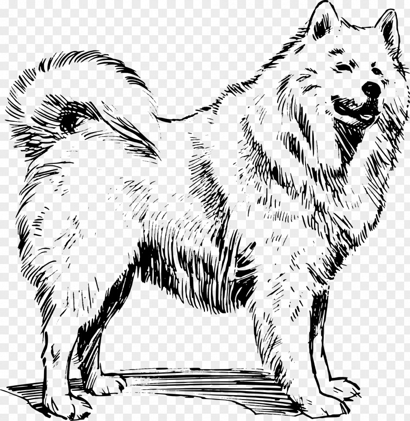 Samoyed Dog English Cocker Spaniel American Eskimo Animal Illustrations Clip Art PNG