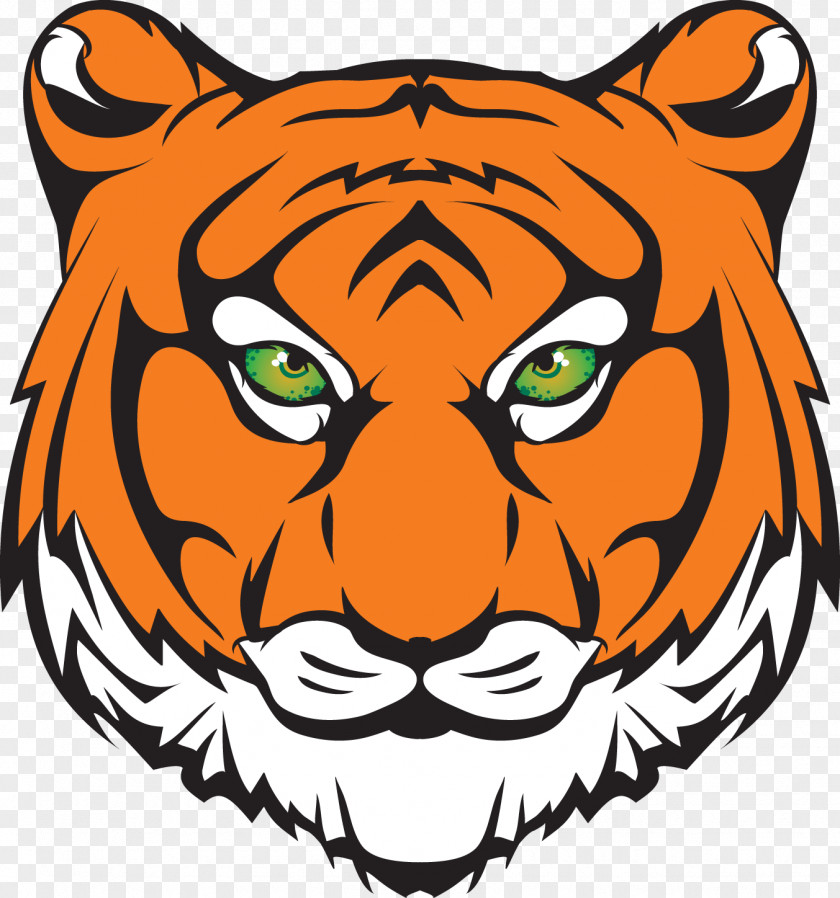 School Princeton Tigers Men's Basketball University District High PNG