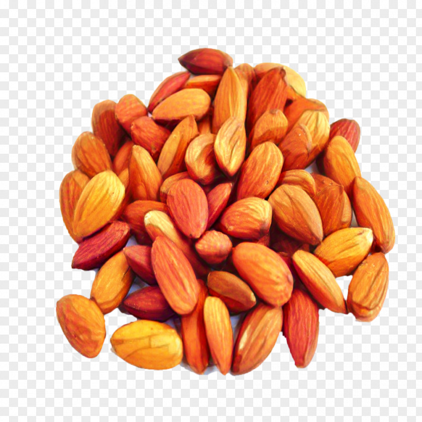 Apricot Kernel Nuts Seeds Fruit Cartoon PNG