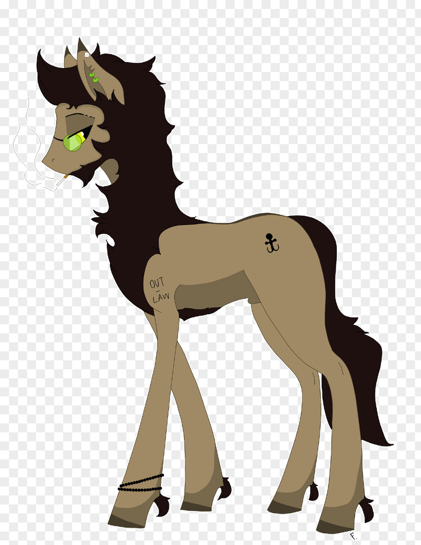 Mustang Pony Foal Colt Stallion PNG
