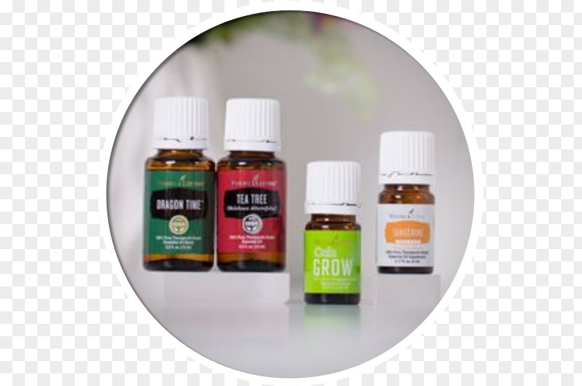 Oil Young Living Essential Lavender Tea Tree PNG