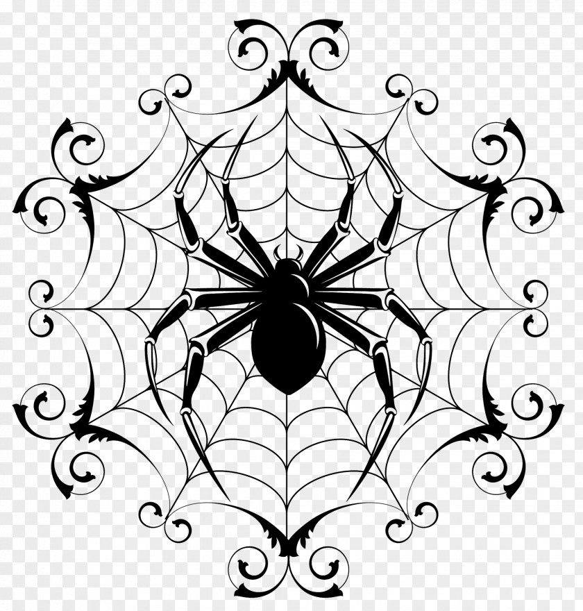 Spider Web Drawing Clip Art Image PNG