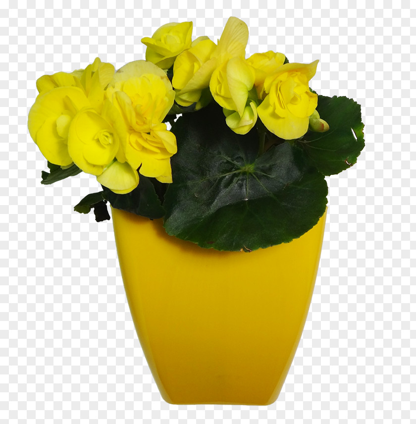 Vase Flowerpot Yellow Cut Flowers Cachepot PNG