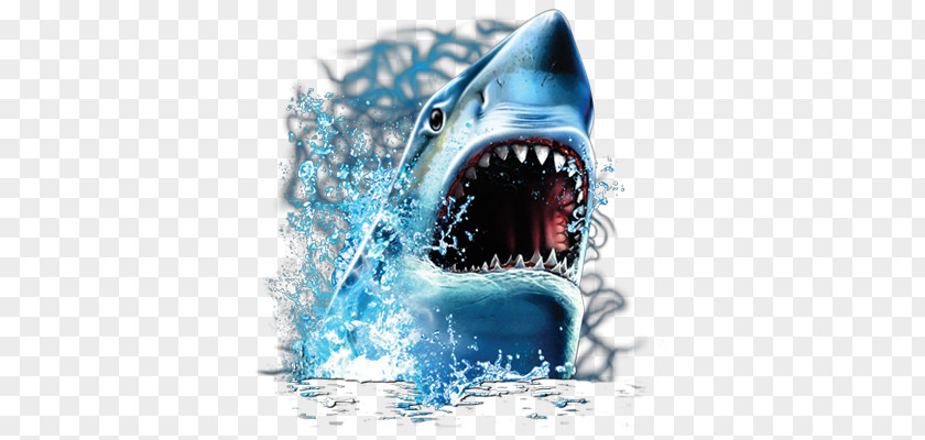 Water Sharks PNG sharks clipart PNG