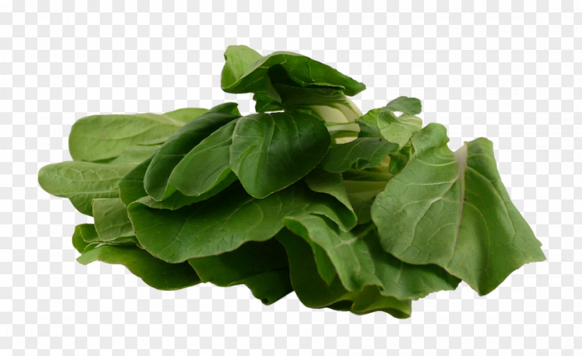 Bok Choy Spinach Vegetarian Cuisine Leaf Vegetable Chard PNG