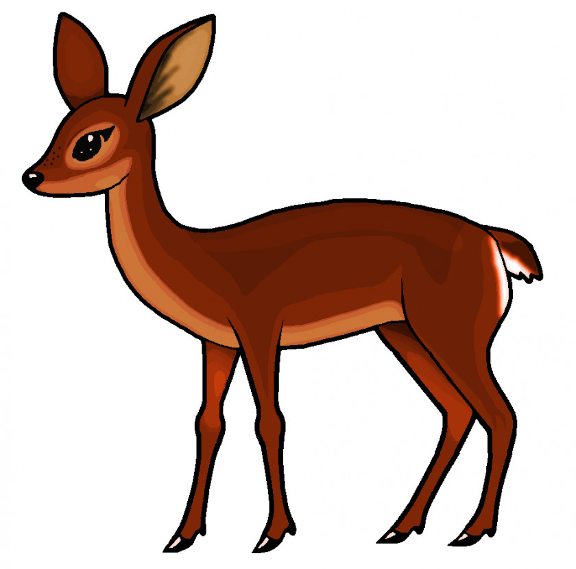 Doe Cliparts Roe Deer White-tailed Clip Art PNG