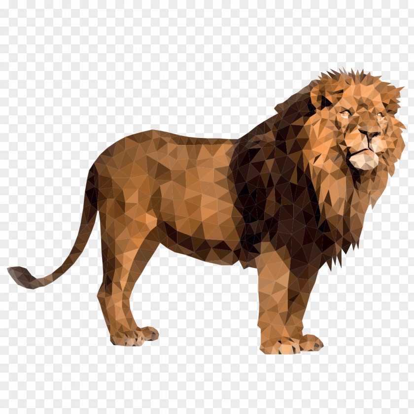 Lion Stock Photography Stock.xchng Royalty-free Roar PNG