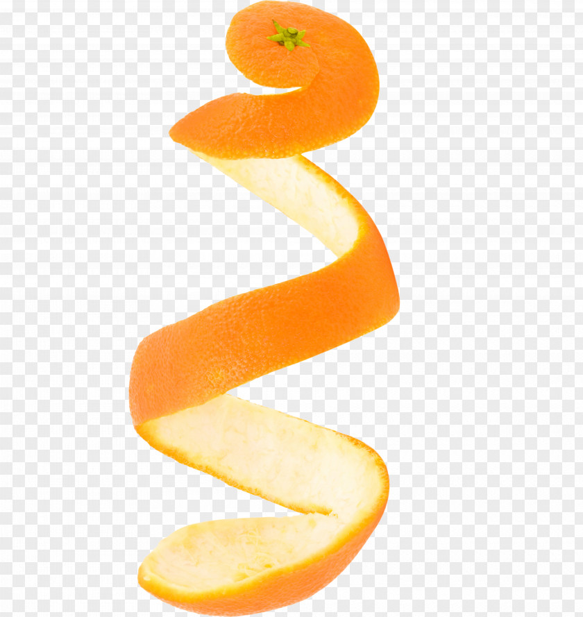 Orange Peel Clip Art PNG