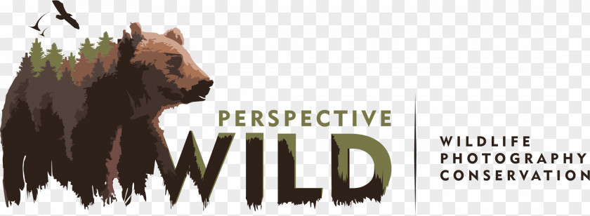 Photographer Wildlife Photography Logo PNG