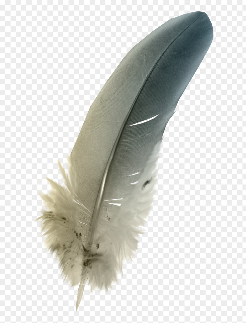Sea Lighthouse The Floating Feather Quill PNG