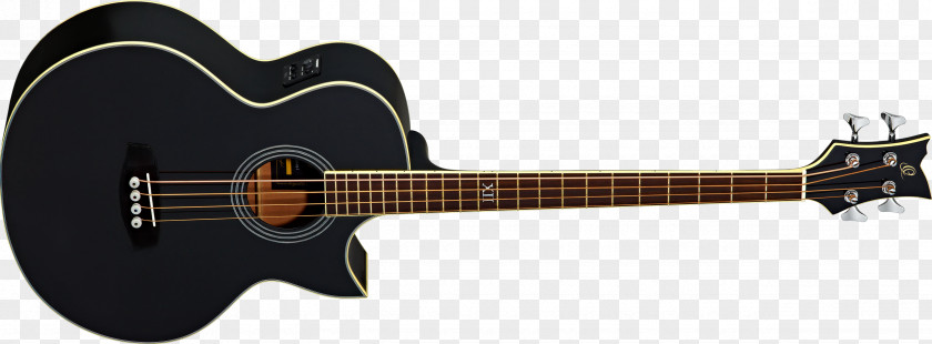 Amancio Ortega Fender Stratocaster Telecaster Electric Guitar Bass PNG