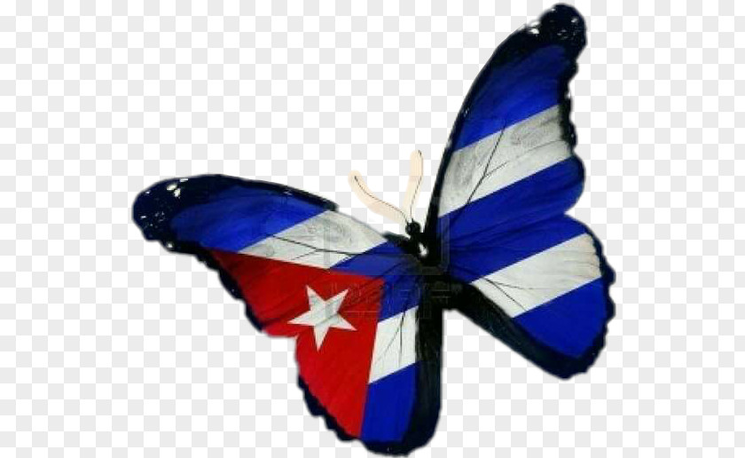 Butterfly Flag Of Cuba Stock Photography PNG