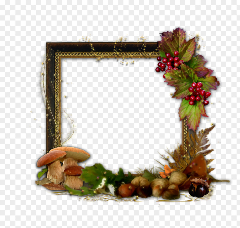 Picture Frames Animaatio Photography PNG