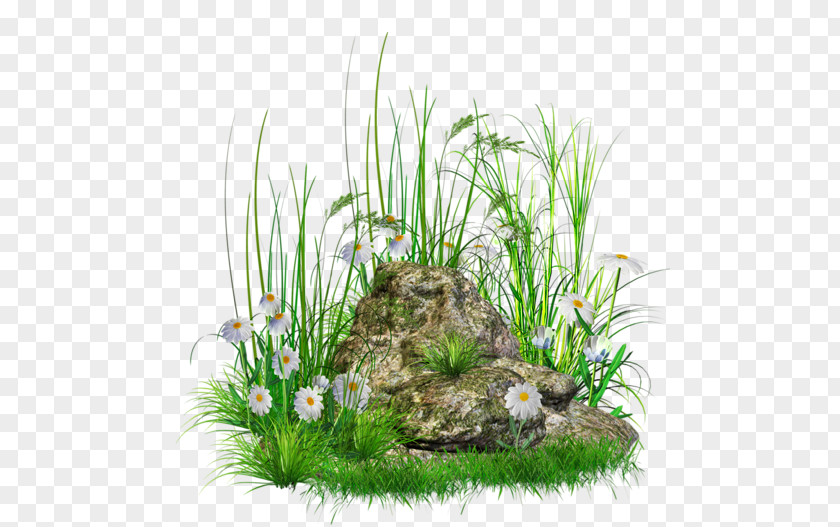 Stone With Grass And Flowers Clipart Rock Clip Art PNG