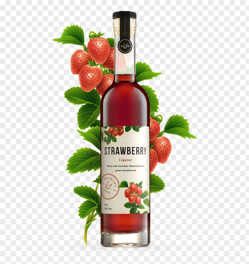 Strawberry Cream Liqueur Sloe Gin Distilled Beverage PNG