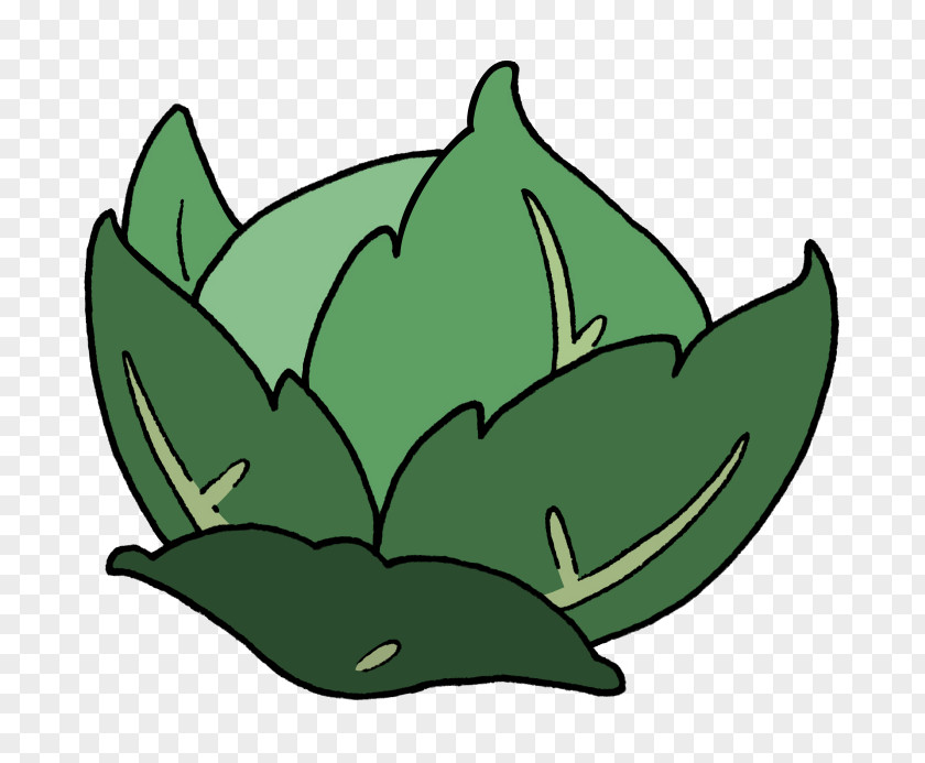 Cabbage Cartoon Clip Art PNG