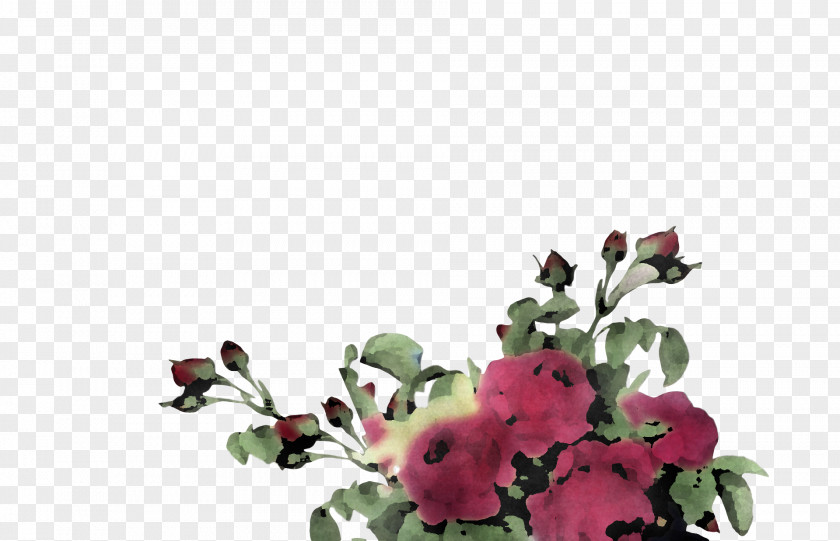 Floral Design PNG