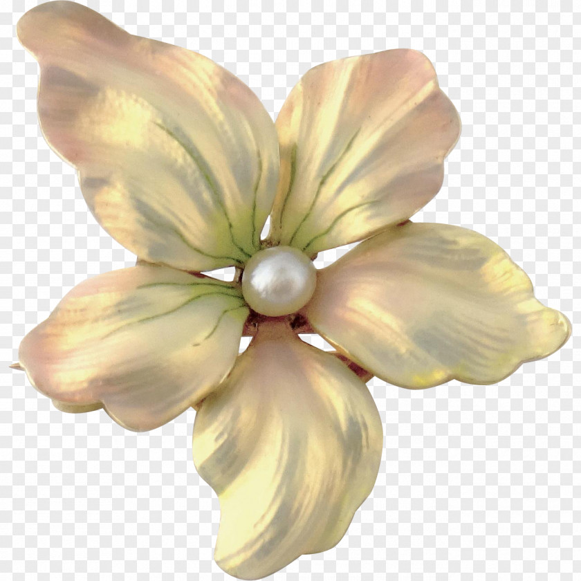 Gold Floral Jewellery Flower Petal Enamel Pearl PNG