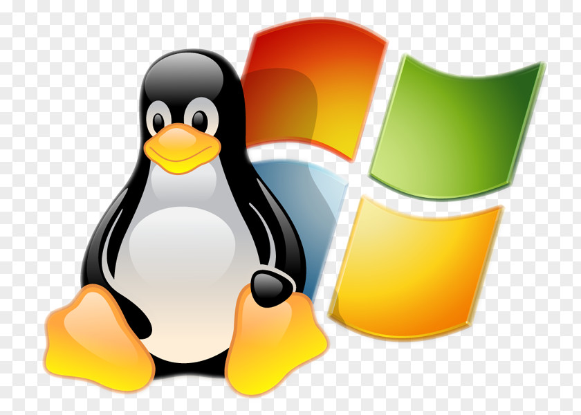 Linux Ve Windows'un Karşılaştırılması Computer Servers Operating Systems PNG