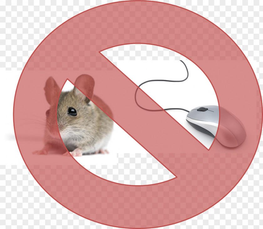 Mouse Trap Rodent Rat Fancy Dormouse Gerbil PNG