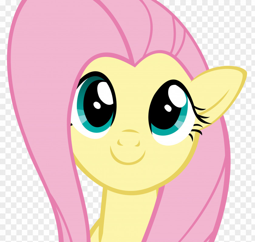 My Little Pony Fluttershy Rarity Rainbow Dash Twilight Sparkle Applejack PNG
