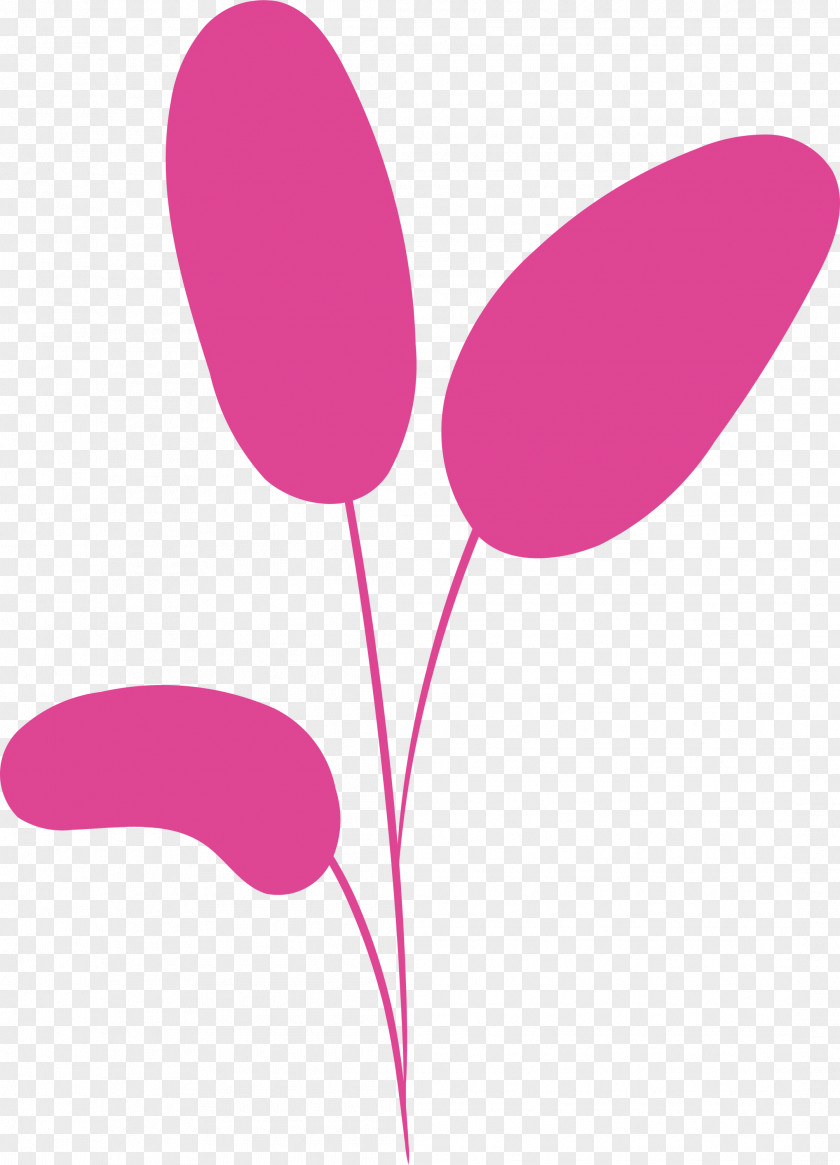 Pink M Line Flower Beauty.m Plants PNG