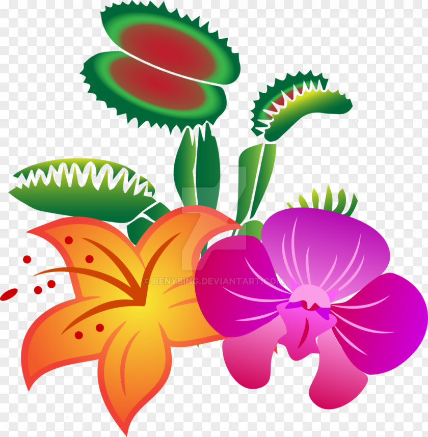 Plants Venus Flytrap Carnivorous Plant Clip Art Image PNG