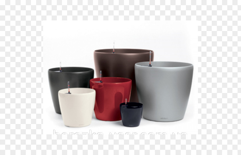 Container Flowerpot Garden Watering Cans Houseplant PNG