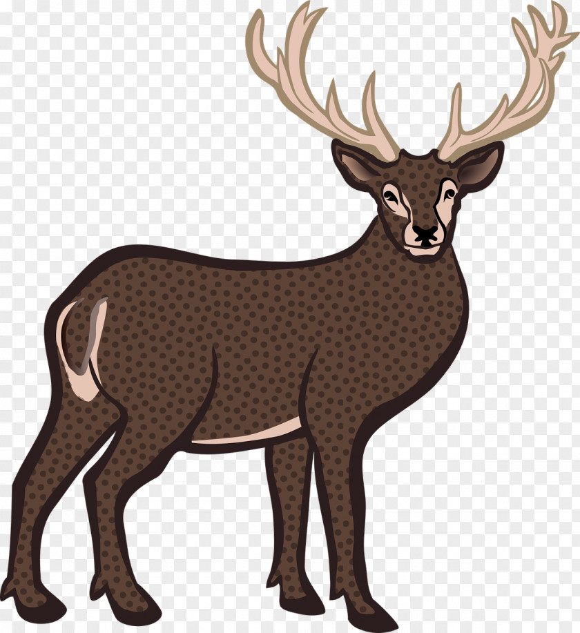 Deer Reindeer White-tailed Bison Elk PNG