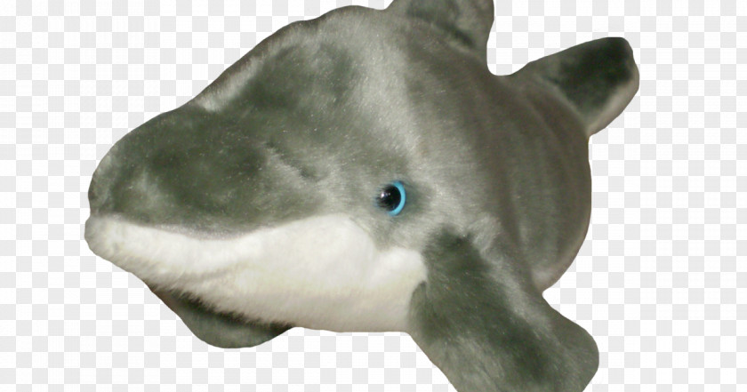 Dolphin Shark Goldfish Animal PNG