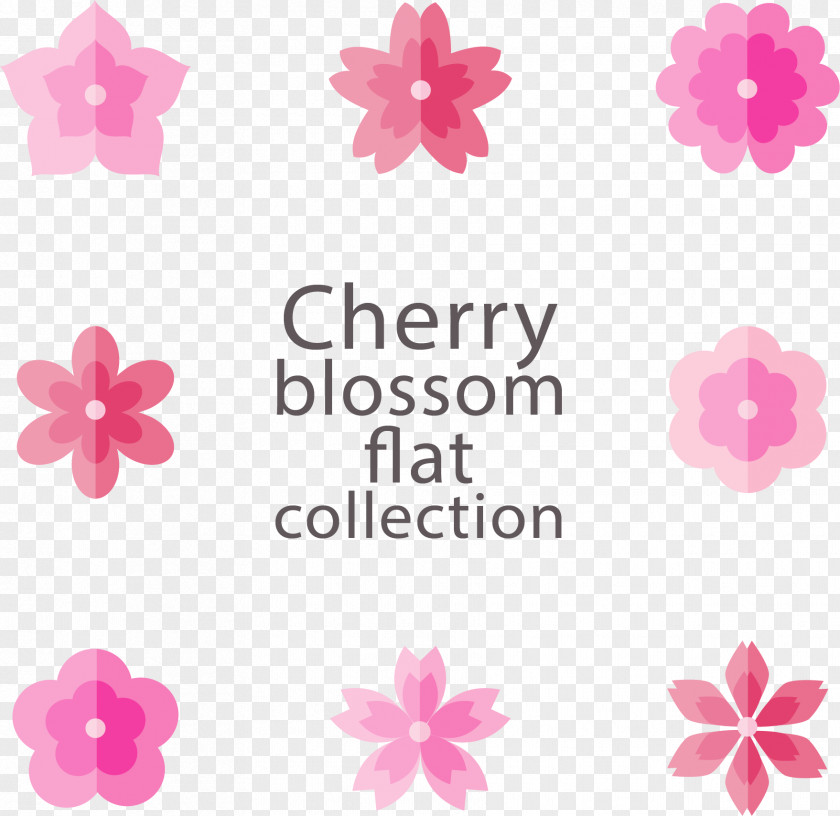 Eight Pink Cherry Blossoms National Blossom Festival Flat Design PNG