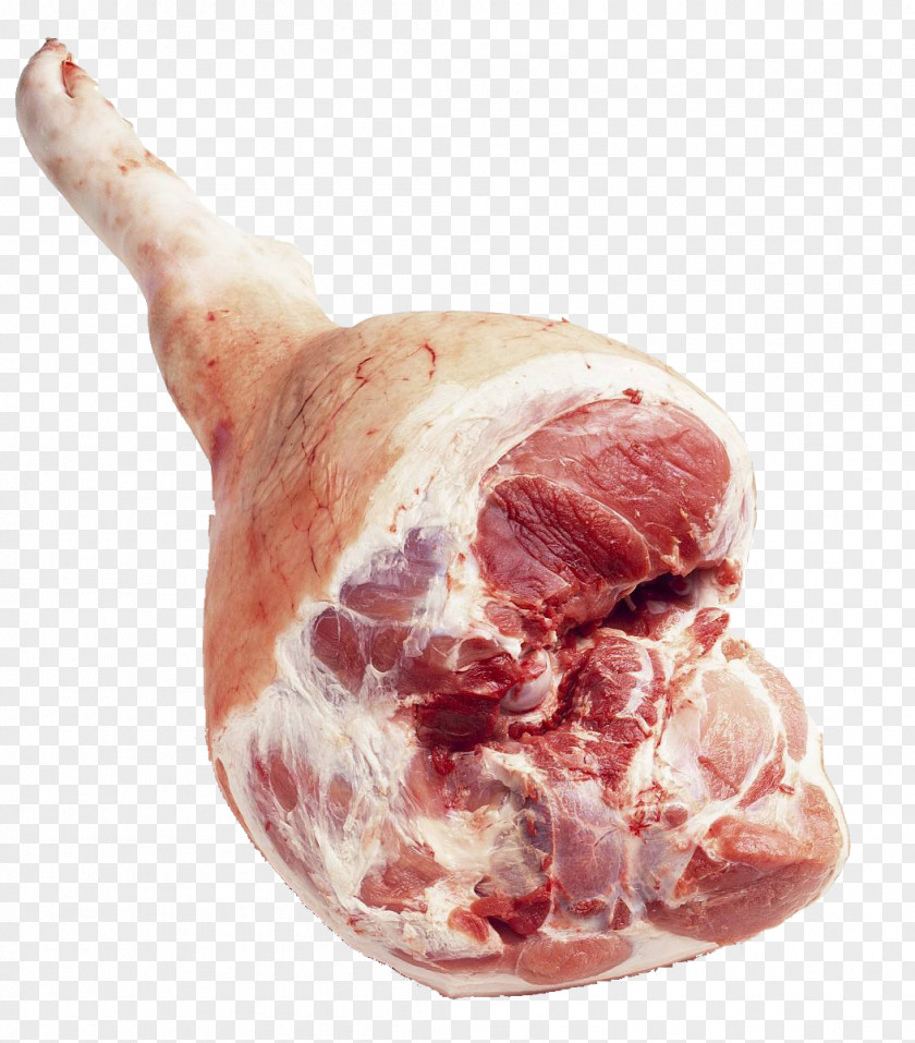 Fresh Pork Legs Capocollo Ham Domestic Pig Chicken PNG