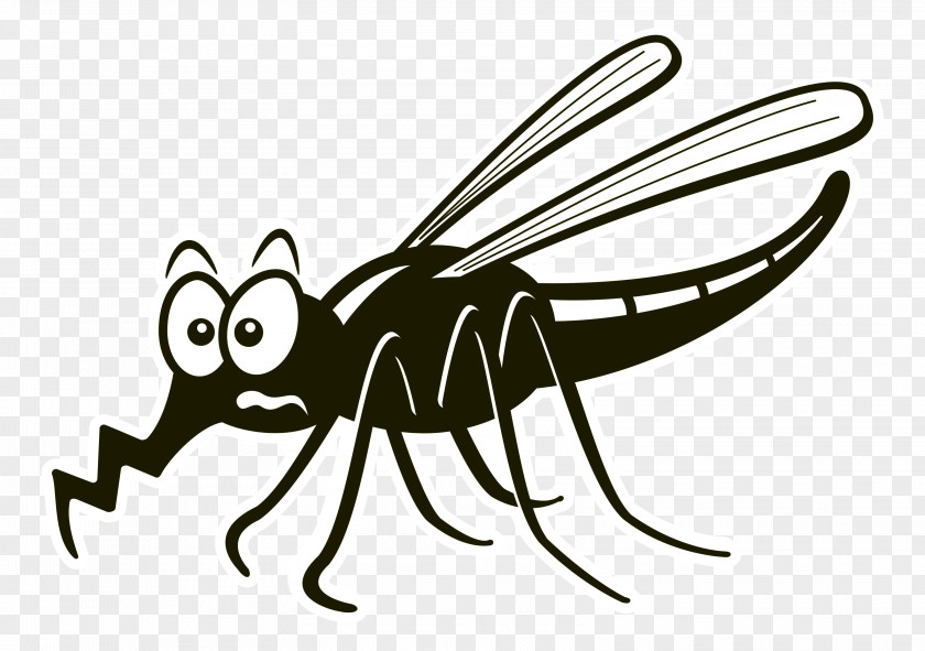 Insect Line Art Clip PNG